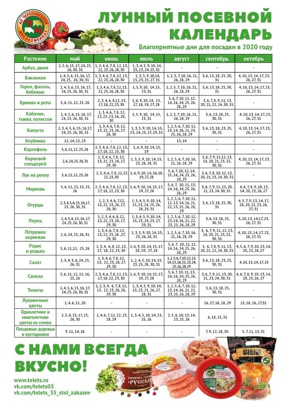 Лунный календарь на 2024г огородника алтайский край. Лунный посевной календарь. Календарь садовода и огородника. Лунный календарь садовода и огородника. Лунный календарь посадок.