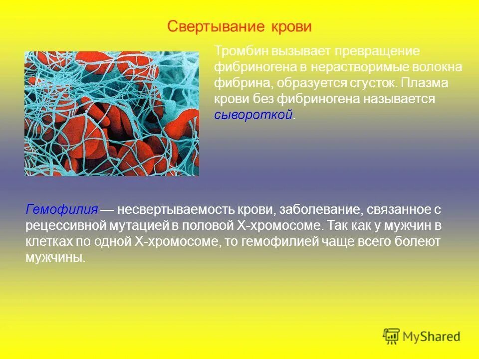 Кровь без плазмы. Кровь без форменных элементов и белка фибрина это. Плазма крови без фибриногена. Свертывание крови связано с превращением. Свертывание крови. Фибриноген. Фибрин..