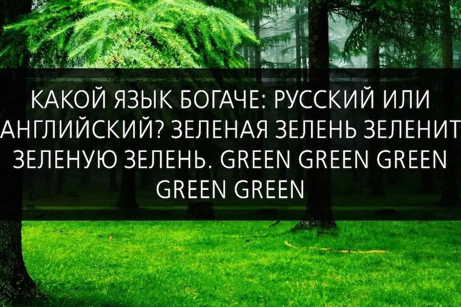 Greener перевод на русский. Зелёная зелень зеленит зелёную. Зеленая зелень зеленеет зеленой зеленью. Зеленый цитаты. Зеленая зелень зеленит зеленую зелень на английском.