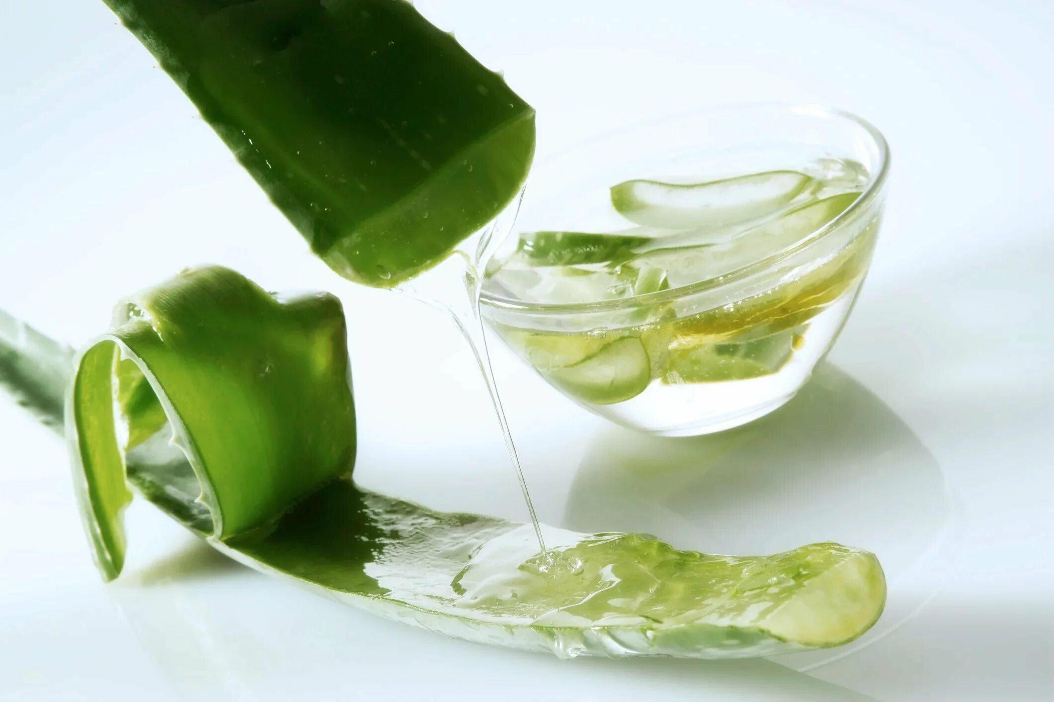 Как пить сок алоэ. Aloe Vera сок. Крем Aloe Vera Canary Islands. Слизи растений.