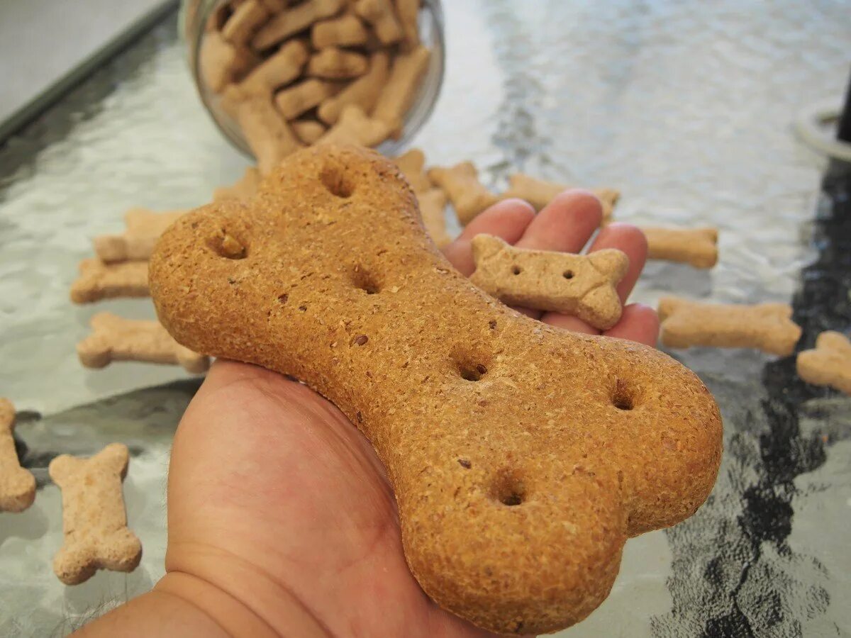 Смешное печенье. Печенье. Смешное печенье. Необычное печенье. Прикольное печенье.