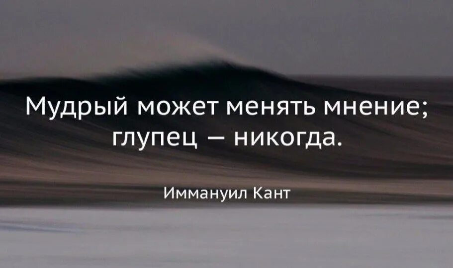 Как меняется мнение. Цитаты про свое мнение. мудрый может менять мнение глупец никогда. цитаты про мнение. мудрый может менять мнение глупец.