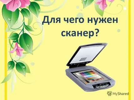 Какой нужен сканер для