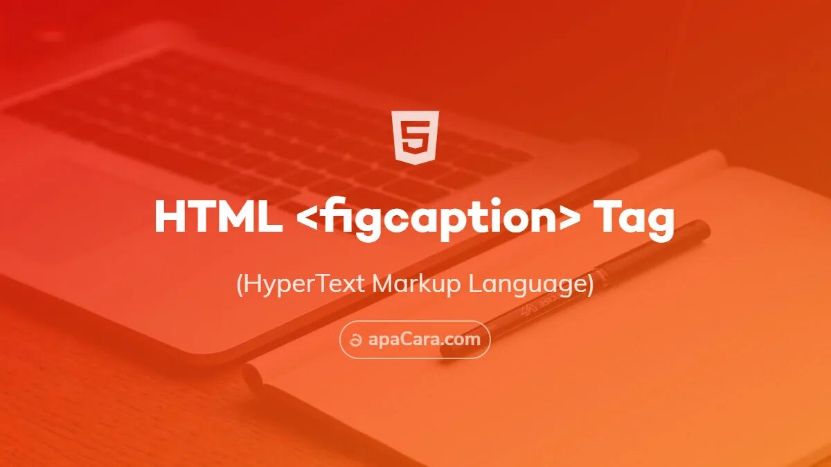 Figure html. Figcaption html. fieldset html. &lt;figcaption&gt; тег что это. area html.