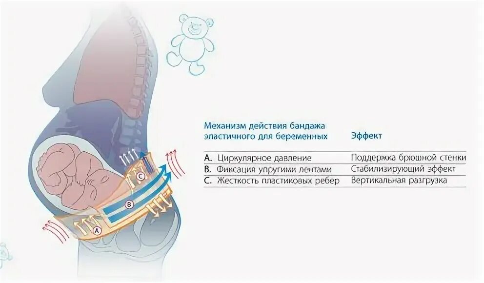 Почему нельзя бандаж. Бандаж для беременных 0601. бандаж при тазовом предлежании. бандаж для беременных при ицн.
