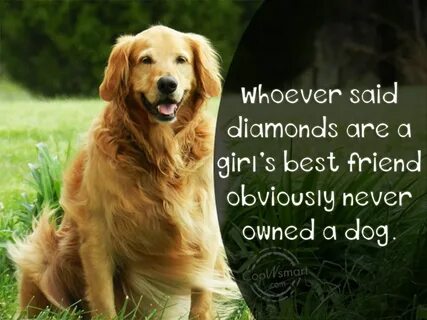 Love like a dog