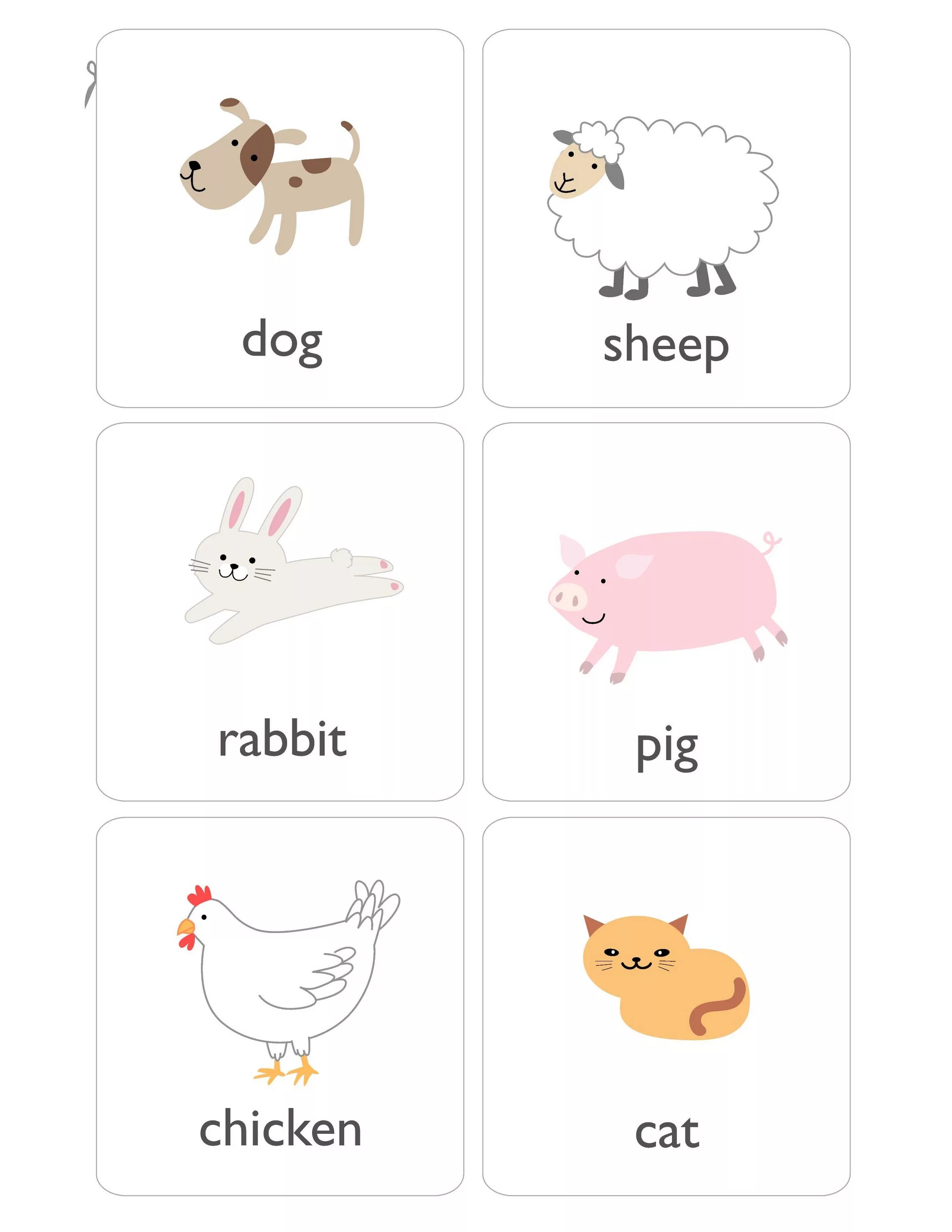 Домашние животные на англ. Английский для малышей карточки. Животные на английском для детей. Животные английский для детей карточки. Домашние животные на английском для детей.