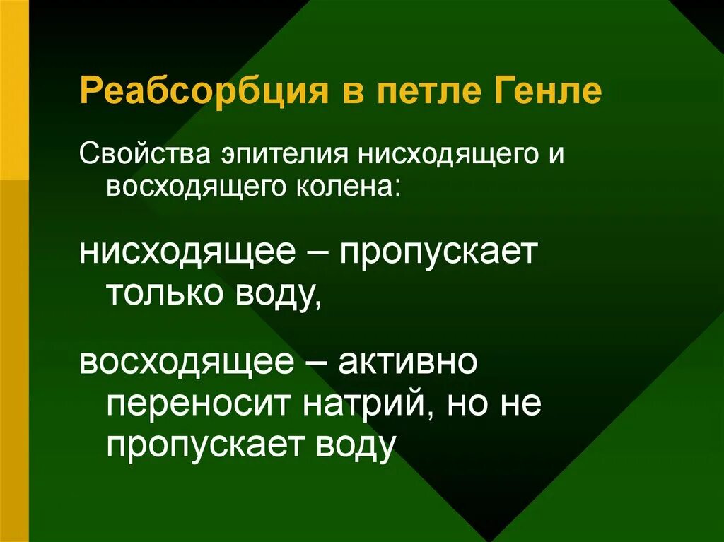 В нисходящей части петли генле реабсорбируются. Петля генле восходящее колено нисходящее колено. Петля генле. Реабсорбция воды в петле генле. Реабсорбция натрия в петле генле.