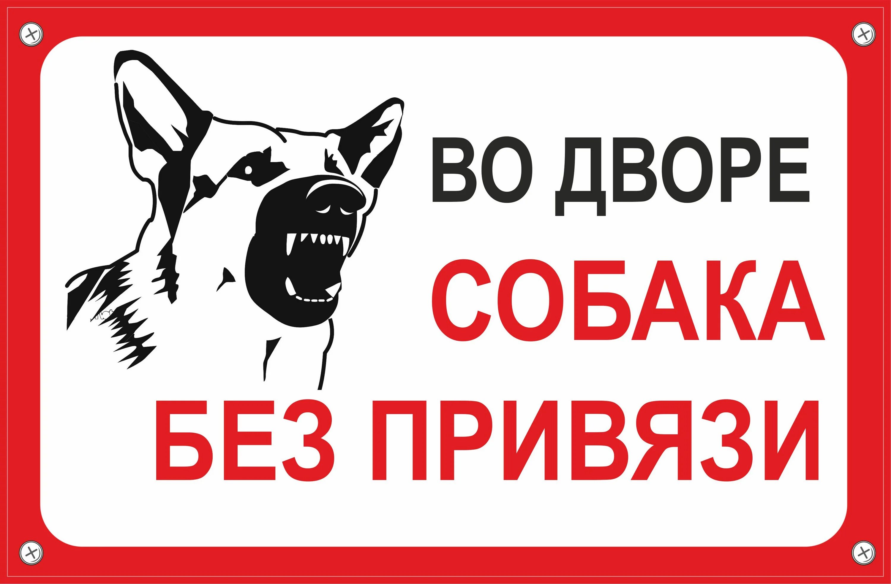 Осторожно собака без привязи. Охраняется собаками табличка. Осторожно злая собака без привязи табличка. Табличка "злая собака". Злая собака что делать