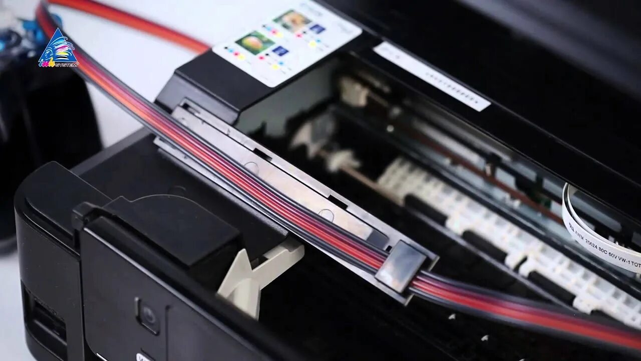Как установить снпч на принтер. Мфу epson stylus sx440w. установка снпч originalam ютуб. как вставить шлейф в принтер epson tx650 видео.