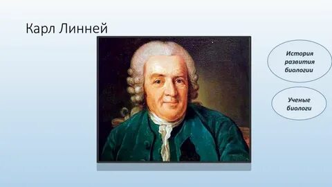 1 к линней