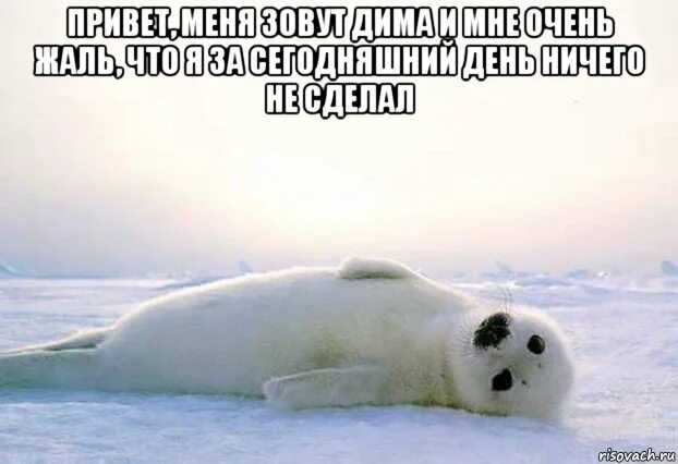 Выражение культурно отдохнул. День ничегонеделания 16 января. День ничего картинки. День ничего. День ничегонеделания 16 января.