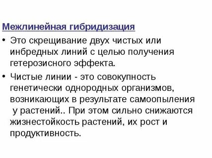 Две чистые линии