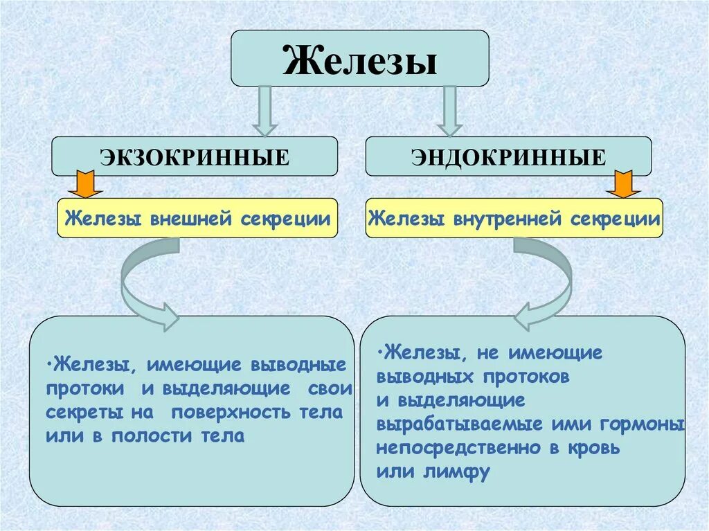 Как отличить железы