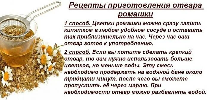 Если пить ромашку каждый день. Ромашка лекарственная отвар. Приготовление настоев и отваров. Отвар из ромашки рецепт. Чай с ромашкой рецепт.