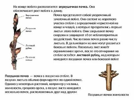 Конец побега