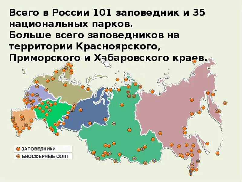 Проект заповедники россии 4 класс. Заповедники и национальные парки России проект. Проект "заповедники и нацеональные парки России. Заповедники и национальные парки России проект для 4 класса. Проект заповедники и национальные парки России окружающий мир.