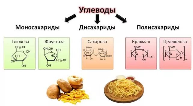 Углеводы