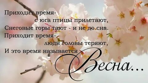 Песни приходи камни