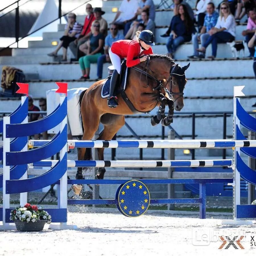 Занятия конным спортом в москве. Конский спорт в Москве. Упражнения по конному спорту. Виген Констандян занимается конным спортом.
