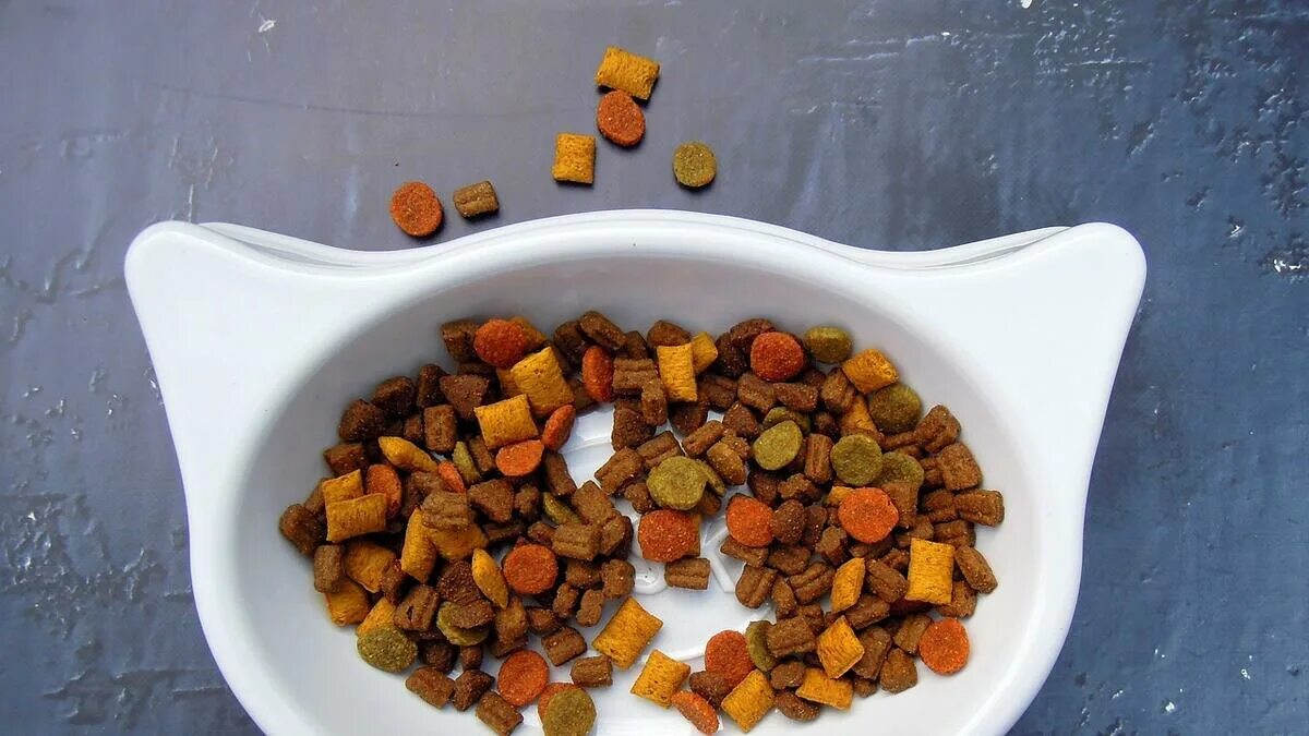 Смешиваю разные сухие корма