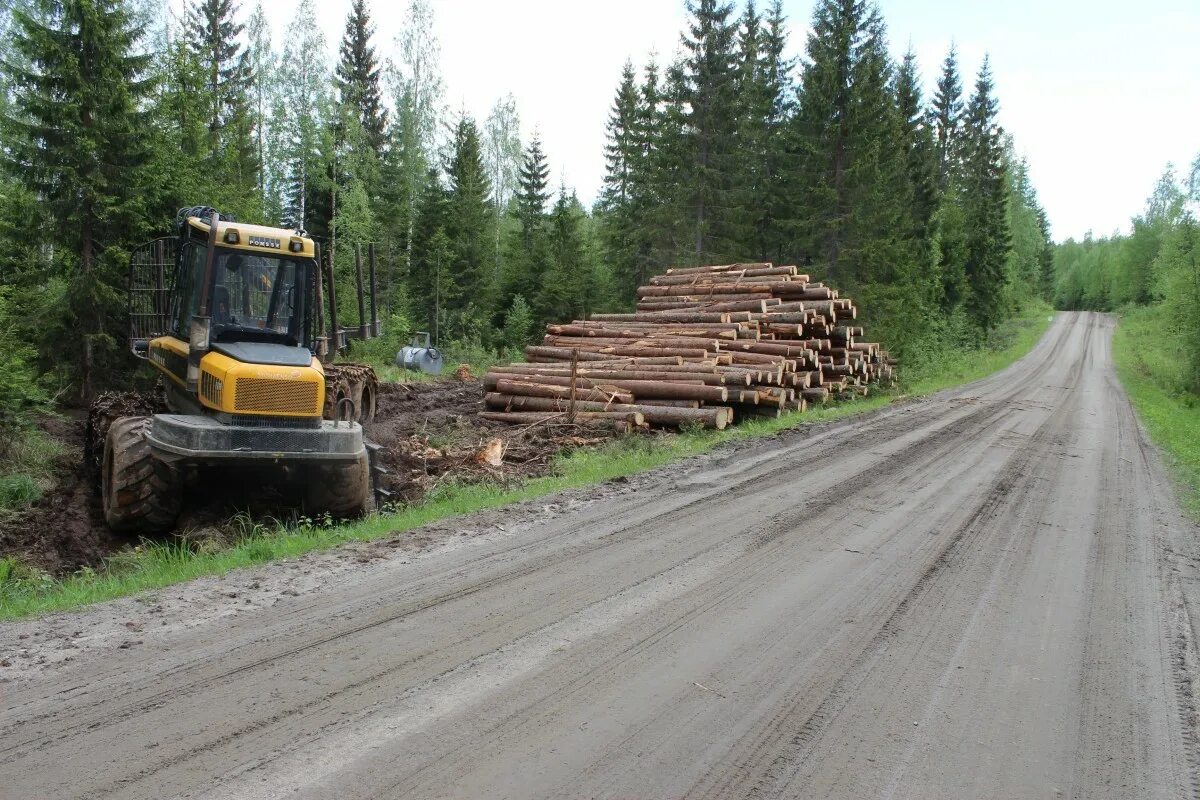 Лесовозные дороги. Лесовозная грунтовая дорога. Заготовка леса. Вырубка леса для строительства дорог.