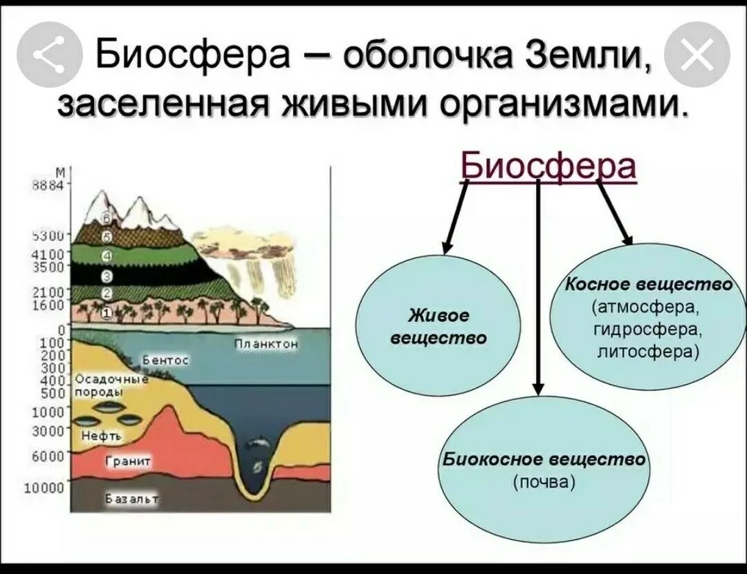 Биосфера сообщение по географии. Биосфера. Оболочки биосферы. Биосфера и ее составные части. Границы биосферы схема.