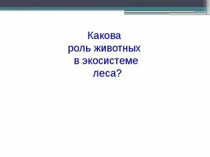 Объясните какую роль играют животные в экосистемах