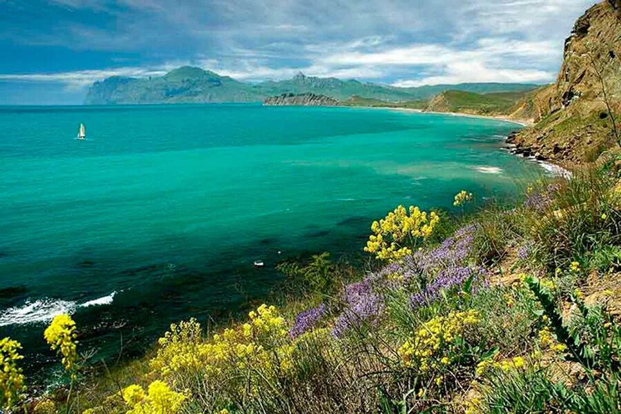 Отдых в палатках в крыму в ялте. Маки и море. Июнь в крыму. Маковые поля в крыму. Море в крыму в июне.
