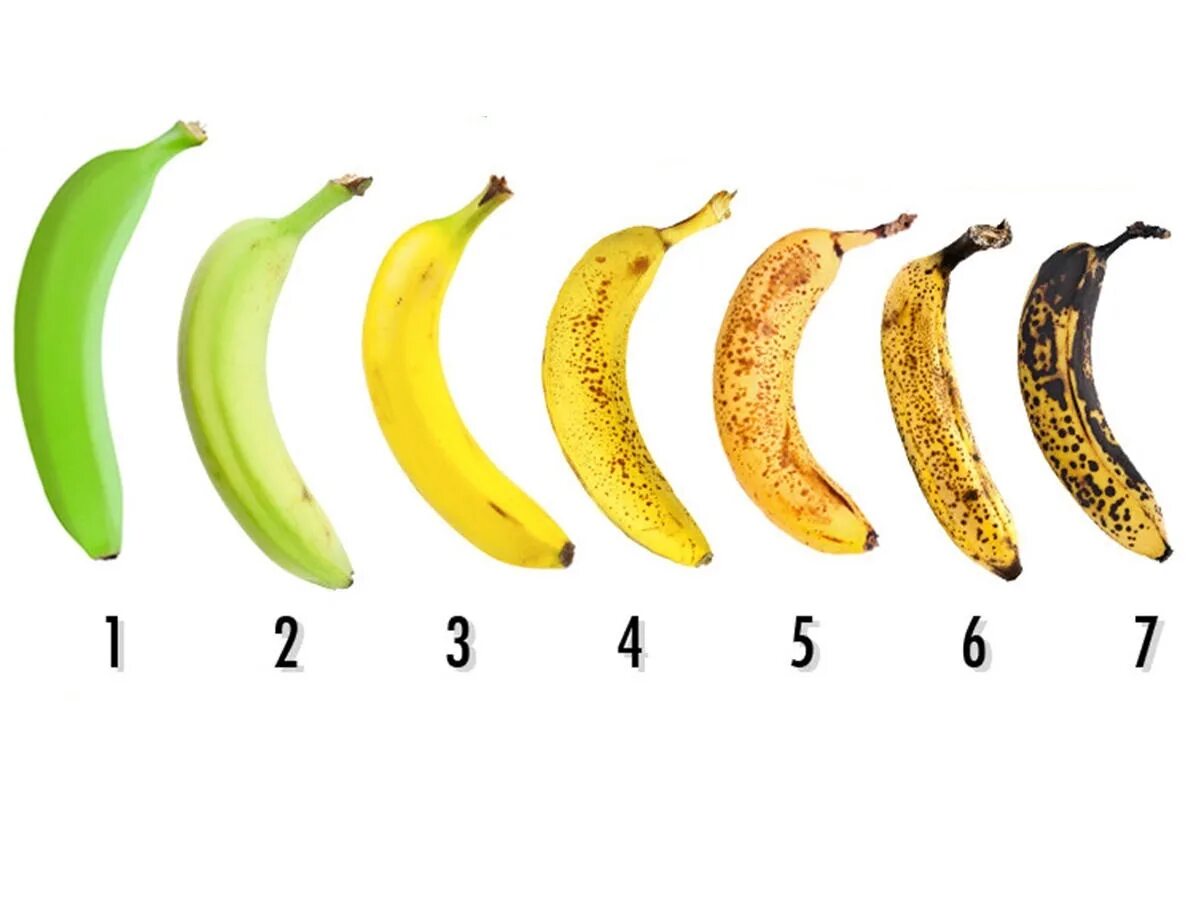 Сколько бананов выпадает в banana. Степень зрелости банана. стадии созревания бананов. стадии зрелости банана. фазы зрелости бананов.