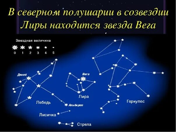 В каком созвездии звезда. Созвездия летнего неба северного полушария. звезда вега в созвездии лиры. созвездие вега на карте звездного неба.