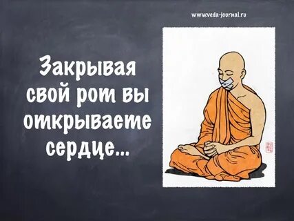 Знающая дзен