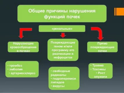 Каковы основные причины нарушений работы систем органов