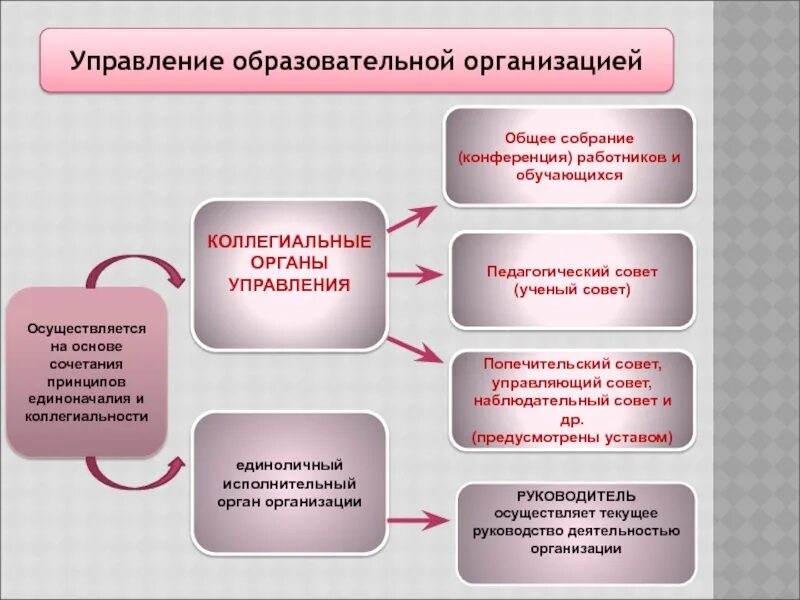 Образовательный орган рф. Коллегиальные органы управления образовательной организацией. Принципы управления общеобразовательной организацией. Коллегиальный орган управления организации это. Управление системой образования.