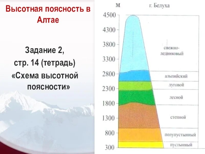 Природные пояса гор урала. Схема ВЫСОТНОЙ поясности Алтая. Высотная поясность Алтая г. Белуха. Высотная поясность горы Эльбрус. Алтайские горы схема ВЫСОТНОЙ поясности.