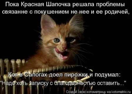 Пока красна