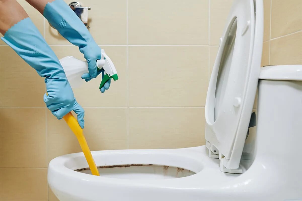 Clean toilets. Робот пылесос уборка под унитазом. Эффективно очистить унитаз от известкового налета. Clean Toilet. Toilet Cleaning.