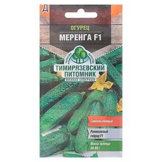Описание огурцов меренга