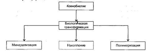 Биологическое преобразование