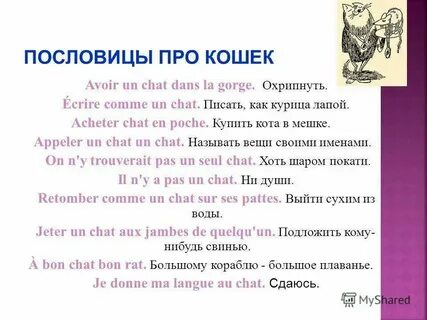 Средневековая французская пословица гласит