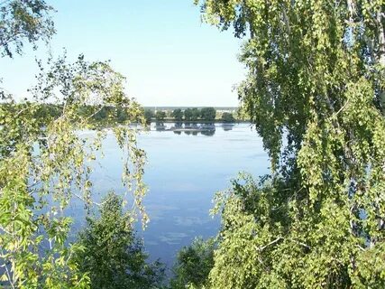 Курганская область п