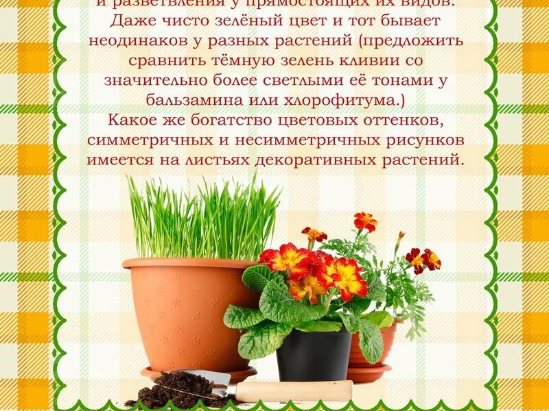 Консультация для родителей ядовитые растения для дошкольников. Осторожно ядовитые растения. Папка передвижка растения. Детям о растениях для дошкольников. Лекарственные растения старшая группа.