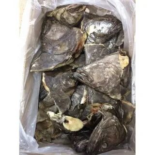 Можно ли заморозить палтус