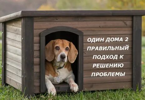 Картинка будки