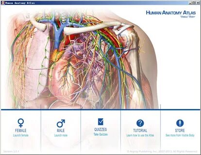 Anatomy atlas