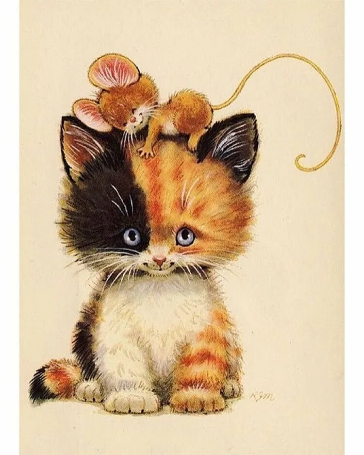 Смешные открытки с котом. Коты иллюстрации. Открытки с котятами. Забавные милые иллюстрации. Открыток с изображением котят.