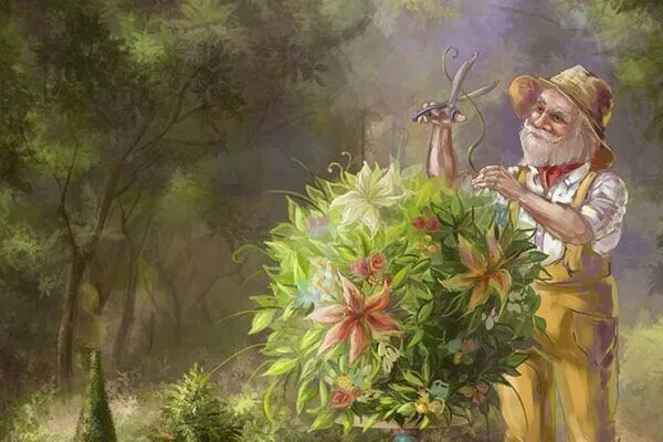 Мул проект садовник скачать все книги Садовник челны: найдено 87 изображений
