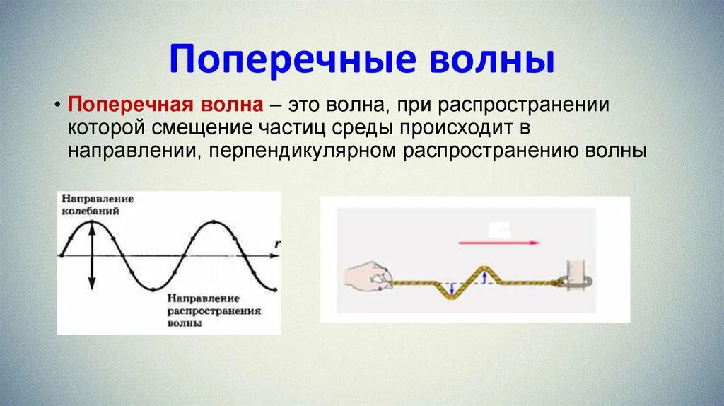 Поперечные волны. Поперечные механические волны. Направление распространения волны. Продольные и поперечные волны. Что такое продольная волна