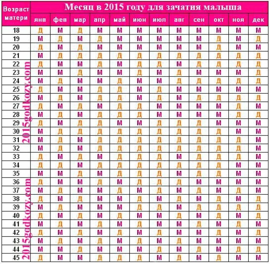 Собачий возраст по человеческим меркам таблица. Таблица зачатия для определения пола ребенка. Календарь по зачатию мальчика. Возраст в эксель формула. Точный возраст по дате.