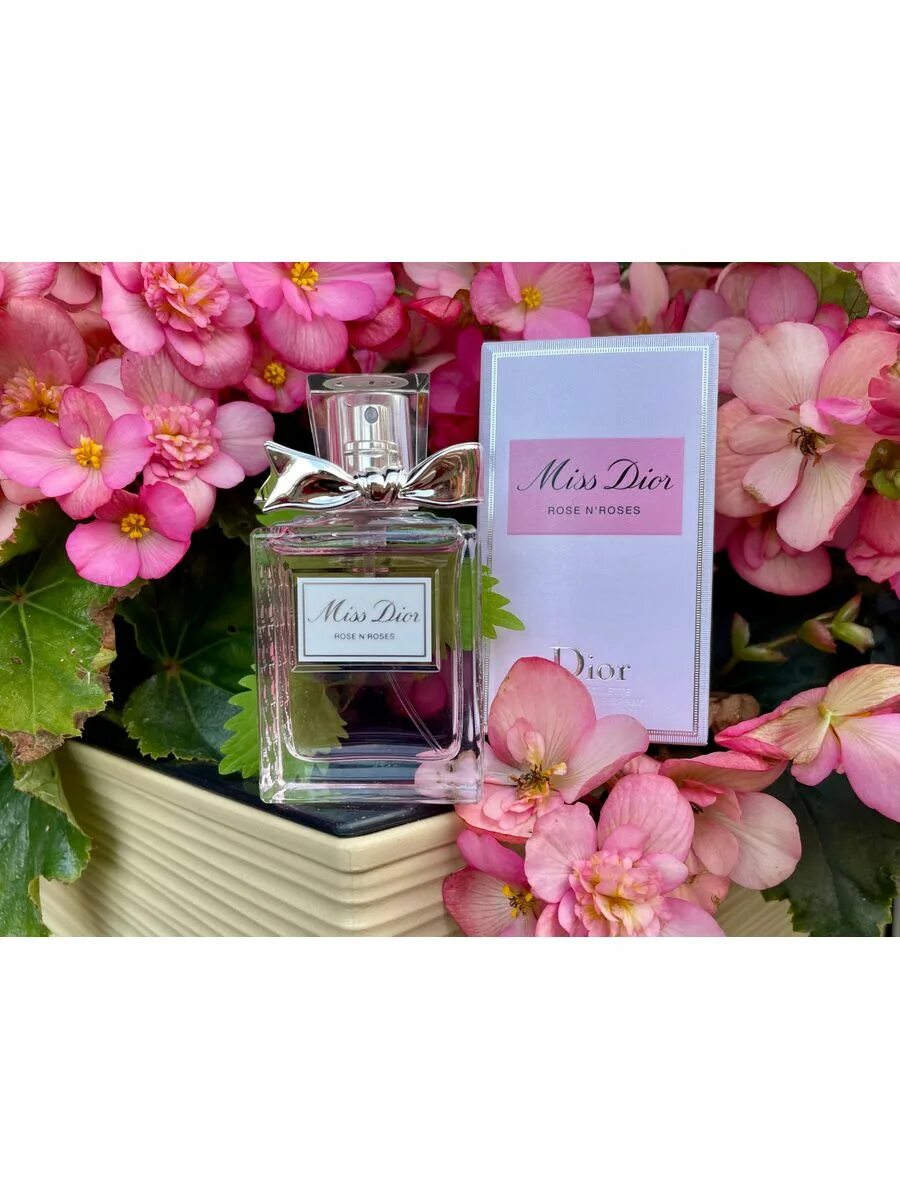 Мисс диор роуз. Miss dior rose essence dior. Dior miss dior rose'n'roses. Christian dior miss dior rose n'roses 100ml. Dior miss dior rose n rose.